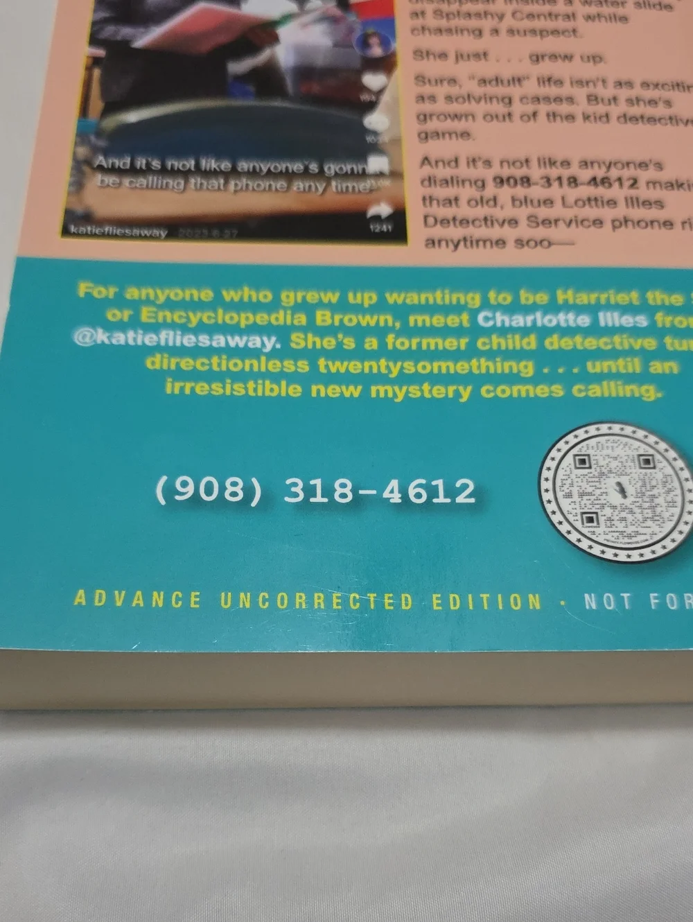 Charlotte Illes Is Not a Detective by Katie Siegel